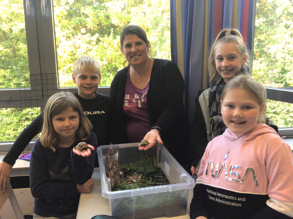 Haustiere im Unterricht