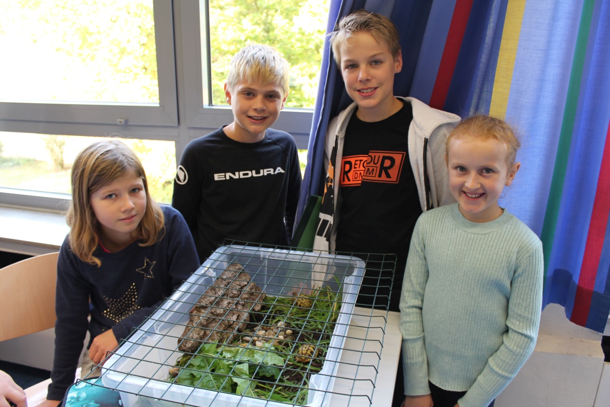 Haustiere im Unterricht