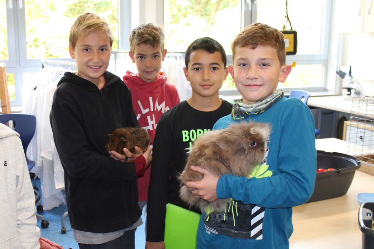 Haustiere im Unterricht