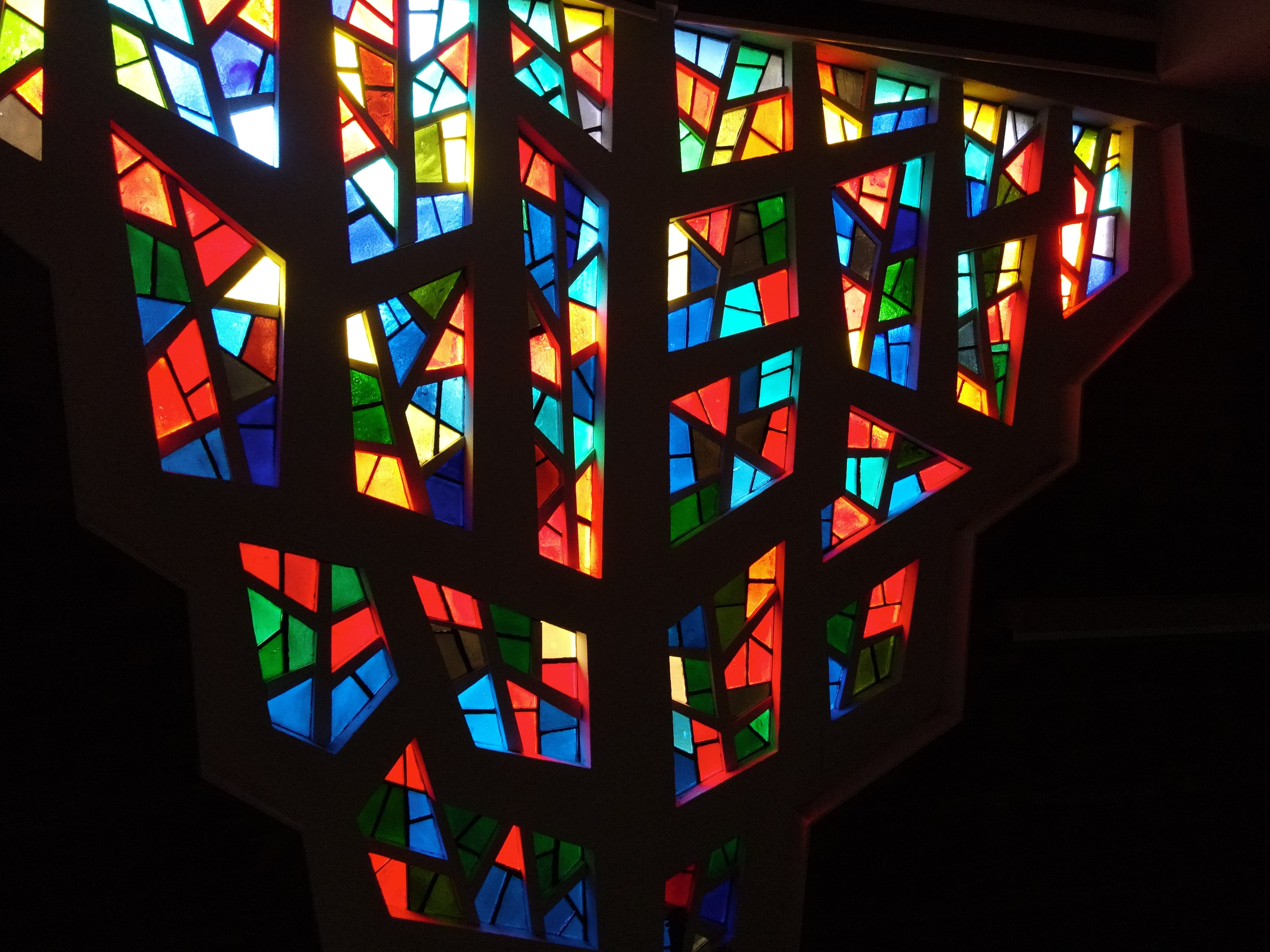 Dornbusch im Forum der Marienschule