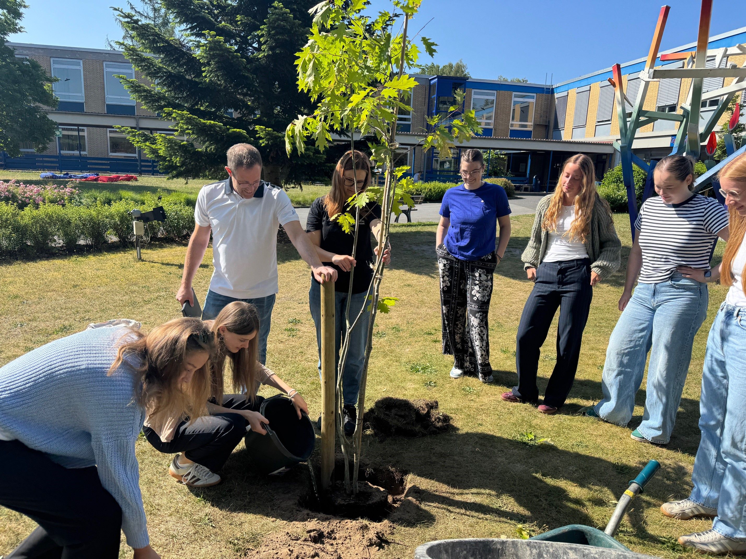 Baum des Jahres 2025