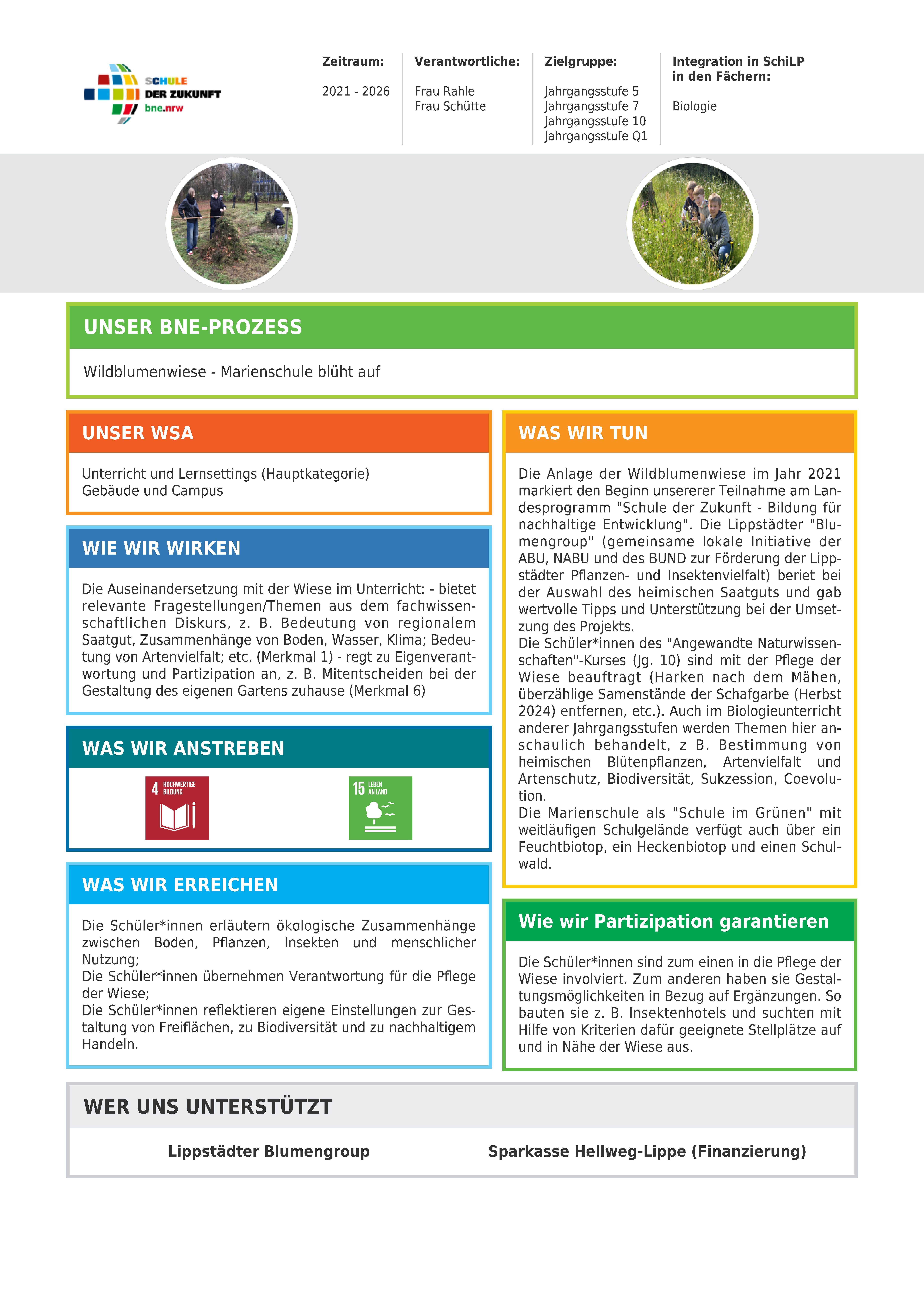 Wildblumenwiese - SDZ 2026
