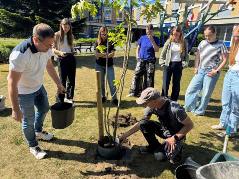 Baum des Jahres 2025