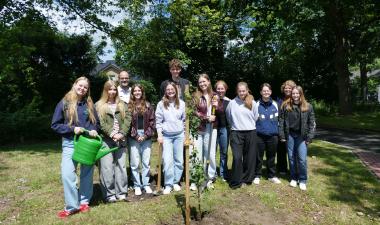 Baum des Jahres 2026